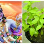 Mokshada Ekadashi 2025