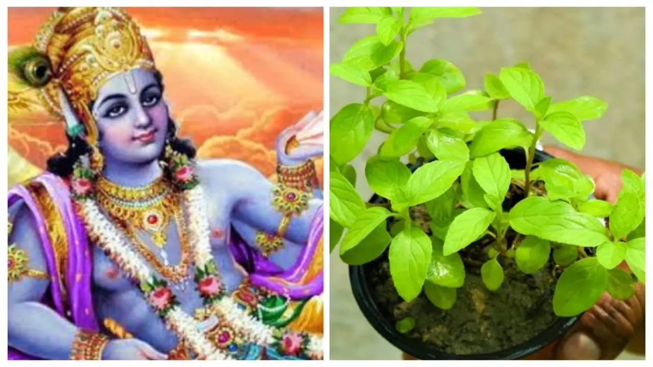 Mokshada Ekadashi 2025